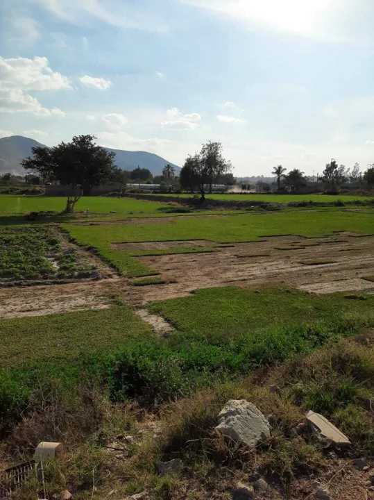 Foto 8 de Terreno Venta Pueblo de Santa Anita Tlaquepaque | RTV-2141