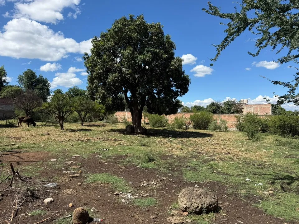 Foto 2 de Terreno en venta en OBREGON, SAN MIGUEL CUYUTLAN , TLAJOMULCO DE ZUÑIGA