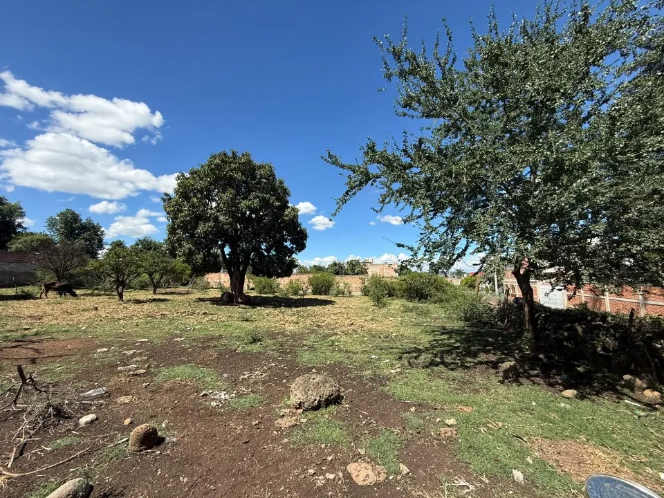Foto 3 de Terreno en venta en OBREGON, SAN MIGUEL CUYUTLAN , TLAJOMULCO DE ZUÑIGA