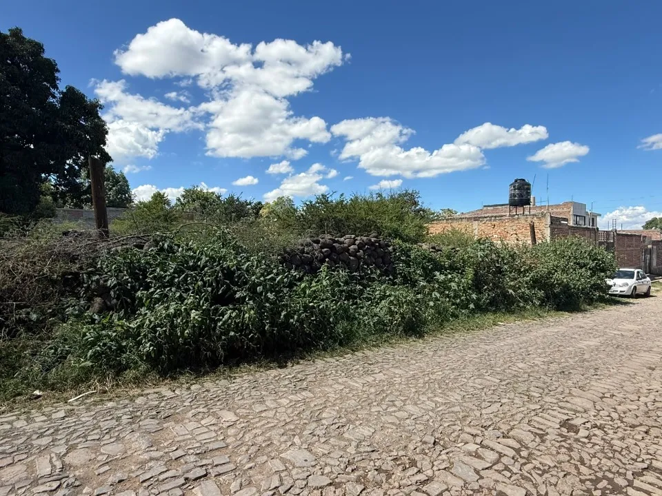 Foto 4 de Terreno en venta en OBREGON, SAN MIGUEL CUYUTLAN , TLAJOMULCO DE ZUÑIGA