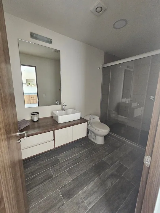 Foto 5 de Departamento en Renta en AltaVista Residencial