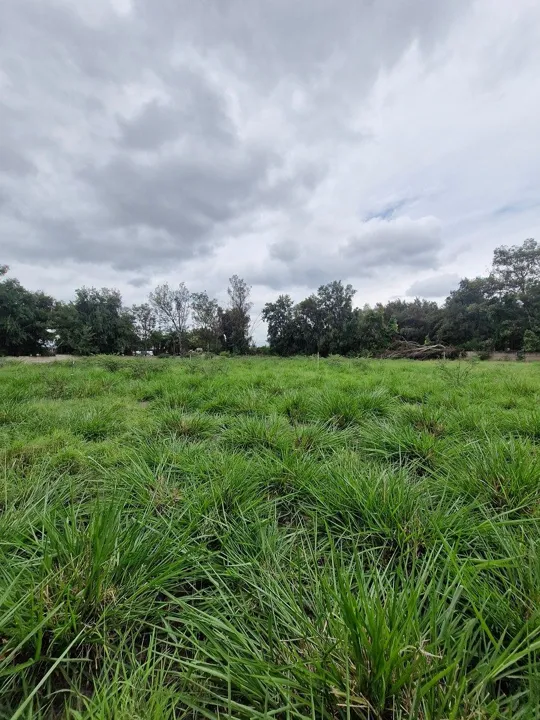 TERRENO INDUSTRIAL EN RENTA FRENTE AL AEROPUERTO DE GUADALAJARA