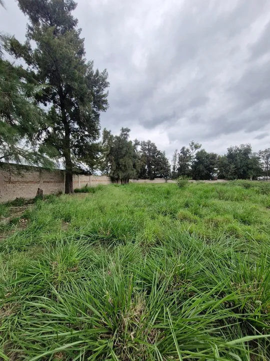Foto 2 de TERRENO INDUSTRIAL EN RENTA FRENTE AL AEROPUERTO DE GUADALAJARA