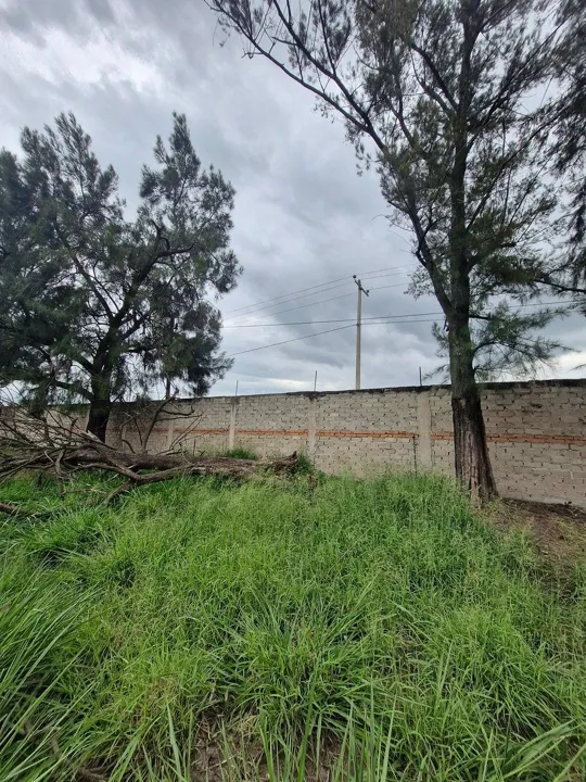 Foto 3 de TERRENO INDUSTRIAL EN RENTA FRENTE AL AEROPUERTO DE GUADALAJARA