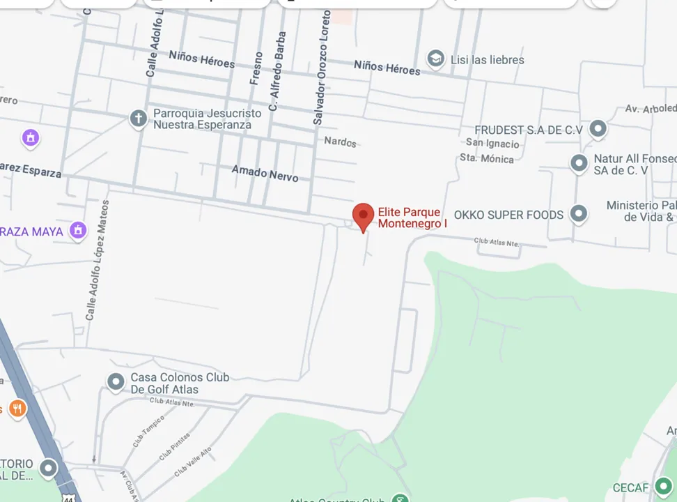 VENTA DE LOTES Y BODEGAS en Parque Industrial  JALISCO $8750/ m2