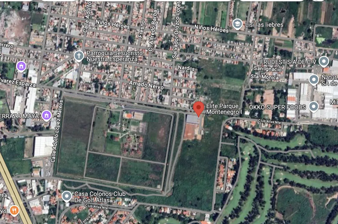 Foto 4 de VENTA DE LOTES Y BODEGAS en Parque Industrial  JALISCO $8750/ m2