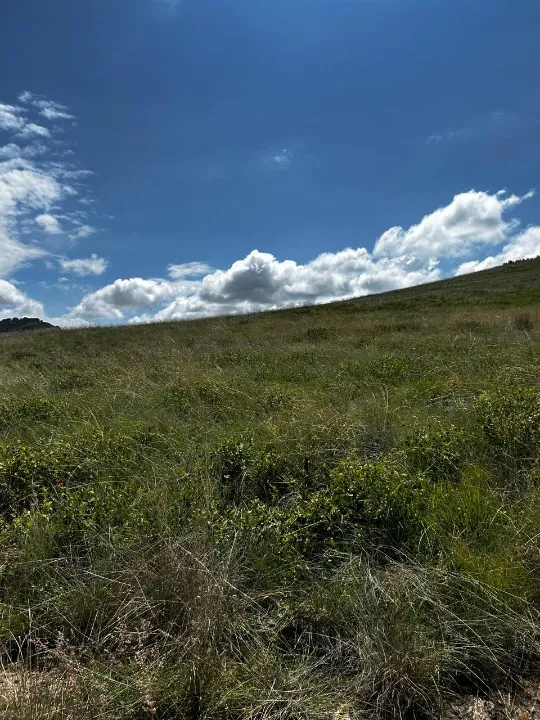 Foto 5 de Terreno en venta en Carretera a Colotlán, el taray, Zapopan