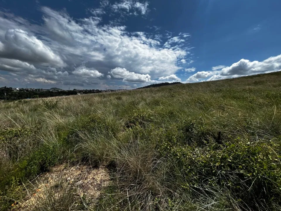 Foto 6 de Terreno en venta en Carretera a Colotlán, el taray, Zapopan