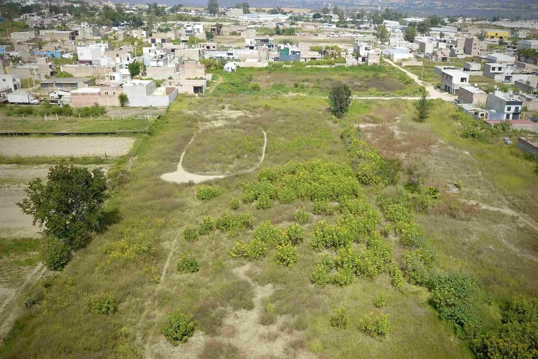 Foto 3 de Terreno en venta en Tonalá, Coyula, Jalisco