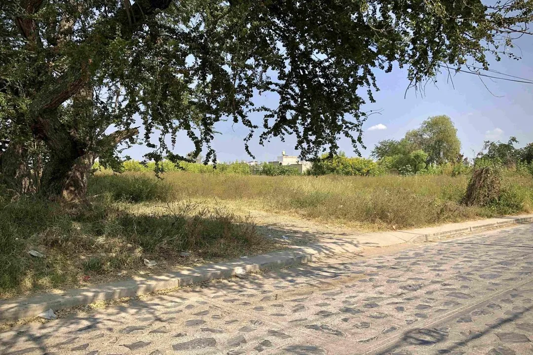Foto 5 de Terreno en venta en Tonalá, Coyula, Jalisco