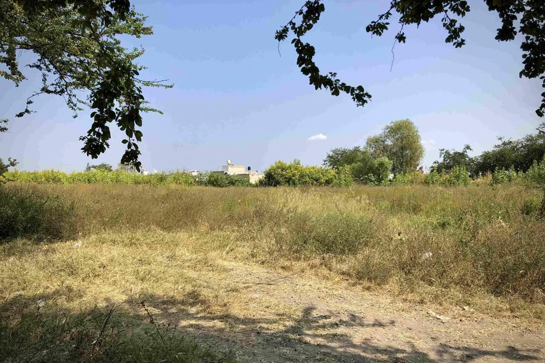 Foto 6 de Terreno en venta en Tonalá, Coyula, Jalisco