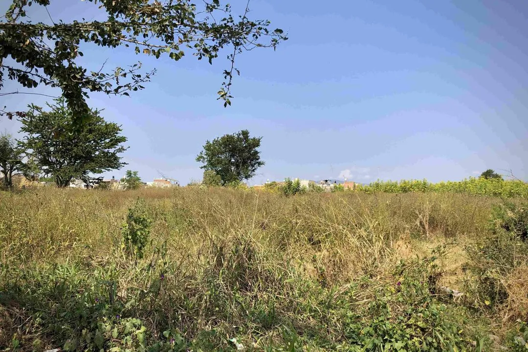 Foto 7 de Terreno en venta en Tonalá, Coyula, Jalisco