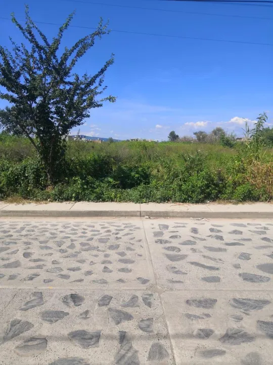 Foto 9 de Terreno en venta en Tonalá, Coyula, Jalisco