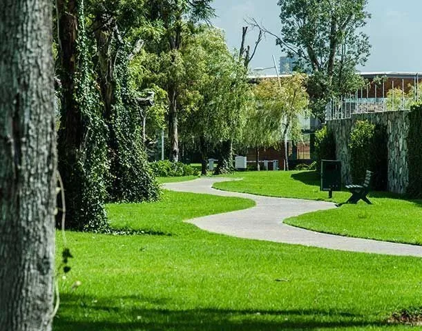 Foto 5 de Casa en venta en Avenida Universidad, PUERTA LAS LOMAS, Zapopan