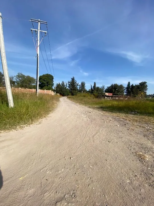 Foto 7 de Terreno en venta en Avenida De Los Pinoslos Pinos , La Calera, Tlajomulco De Zuñiga