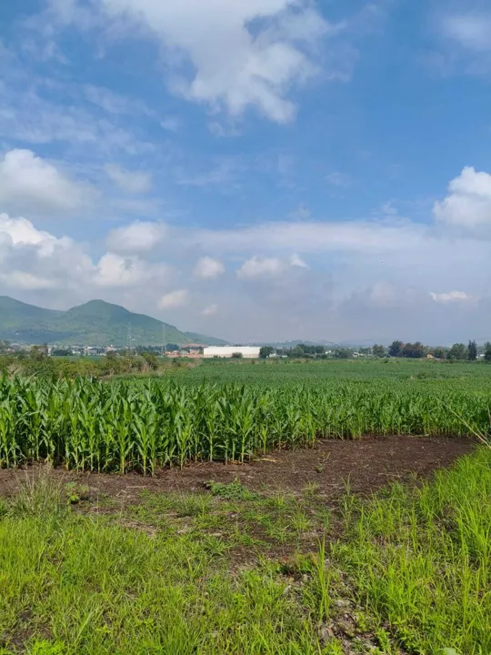 TERRENO EDIJAL EN SAN SEBASTÍAN EL GRANDE
