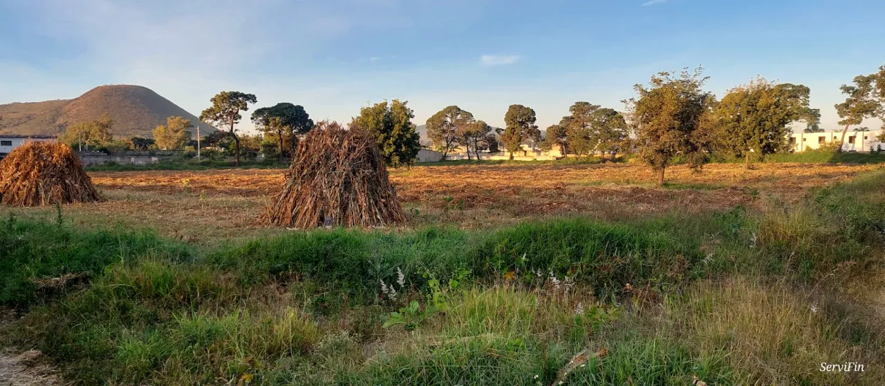 Foto 5 de Terreno en venta en Agua Azul Y Maguey S/N Cortijo 2, San Agustin, Tlajomulco De Zuñiga