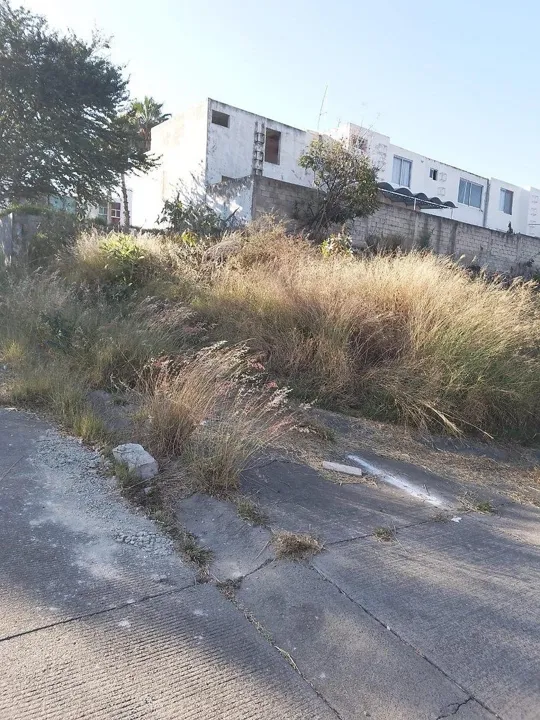 Foto 6 de Terreno en Venta Tonalá, Jalisco.