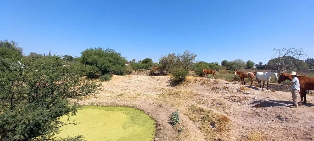 Foto 7 de EN VENTA TERRENO  LA COFRADIA, TLAJOMULCO JALISCO.