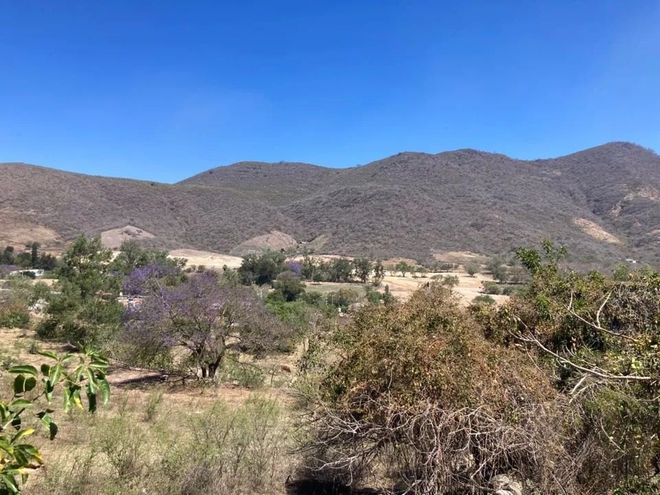 Foto 6 de Terreno en venta en Tlajomulco - Circuito Metropolitano Sur