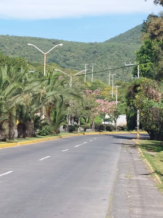 Foto 8 de Terreno en venta en Tlajomulco - Circuito Metropolitano Sur