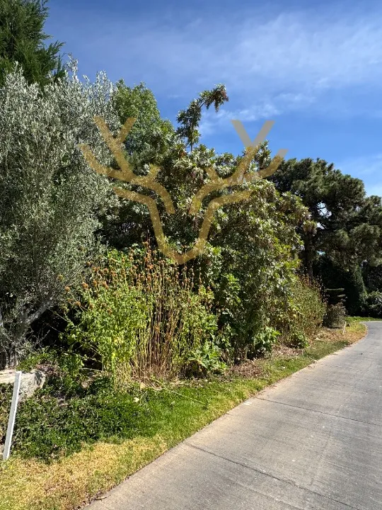 Foto 5 de Terreno en venta en Paseo del Palomar, El Palomar, Tlajomulco de Zúñiga
