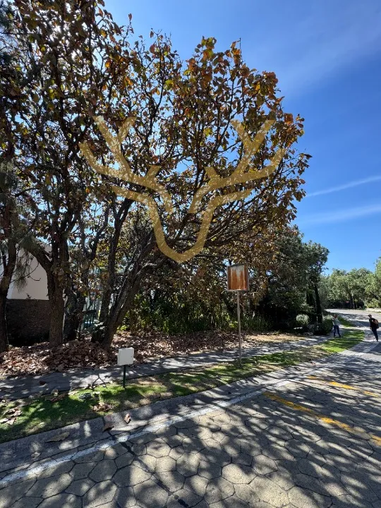 Foto 6 de Terreno en venta en Paseo del Palomar, El Palomar, Tlajomulco de Zúñiga
