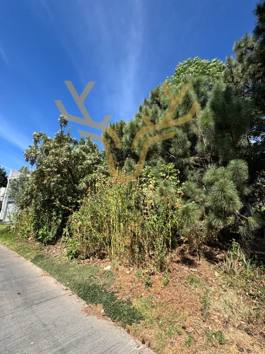 Foto 8 de Terreno en venta en Paseo del Palomar, El Palomar, Tlajomulco de Zúñiga