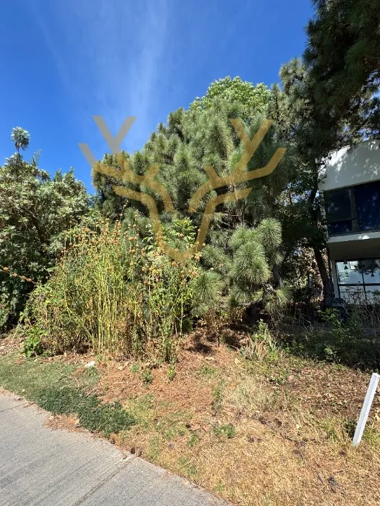 Foto 9 de Terreno en venta en Paseo del Palomar, El Palomar, Tlajomulco de Zúñiga