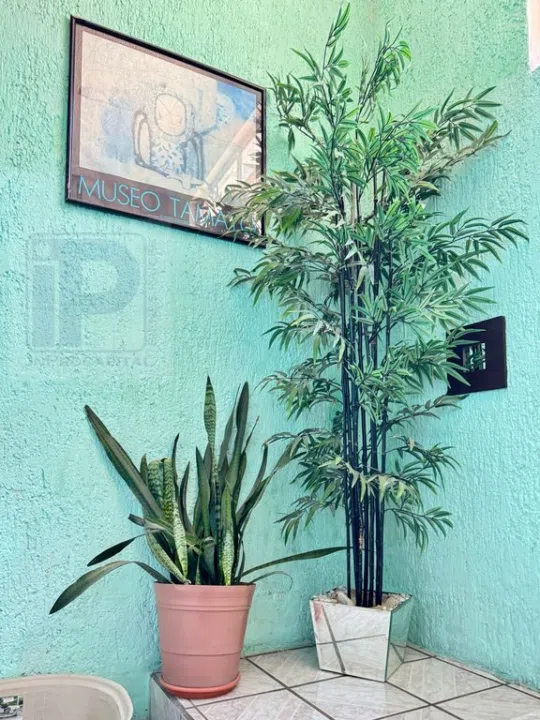 Foto 6 de Casa con uso mixto en Miramar | Ideal para inversión o negocio