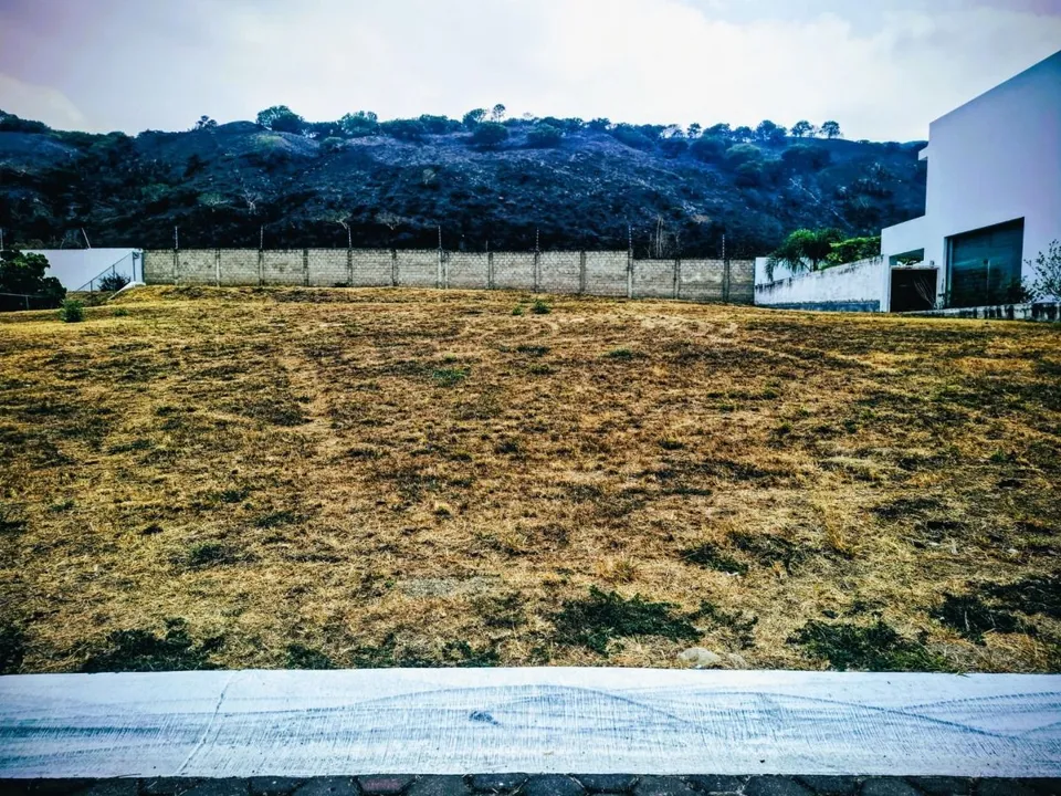 Foto 3 de Terreno en Venta Rinconada Santa Anita, Tlajomulco