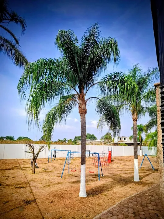 Foto 8 de Terreno en Venta Rinconada Santa Anita, Tlajomulco