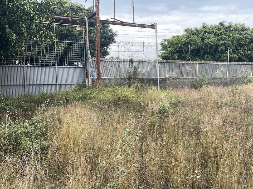 Foto 3 de TERRENO PARA DESARROLLAR UN GRAN PROYECTO