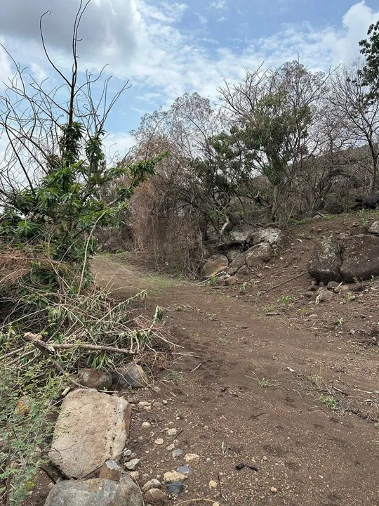 Foto 7 de TERRENO EN VENTA