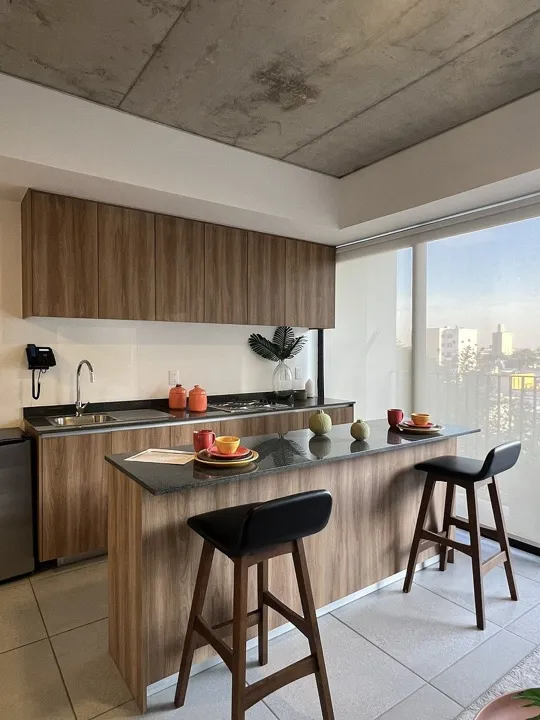 Foto 3 de Depa en Venta Chapultepec 2 Habitaciones- Col. Americana