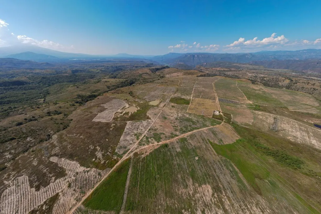 Foto 4 de Terreno de 900 Hectáreas en Venta.