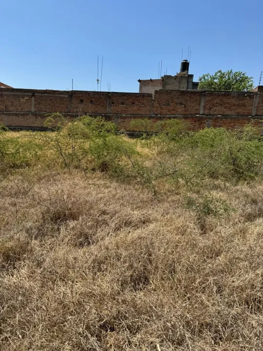 Foto 6 de Terreno Comercial en Venta en Zalatitán, Tonalá, Jalisco