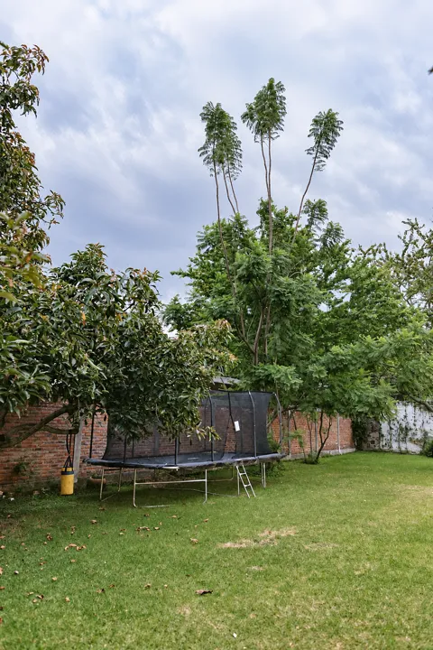 Foto 9 de Casa de una sola planta en los Gavilanes