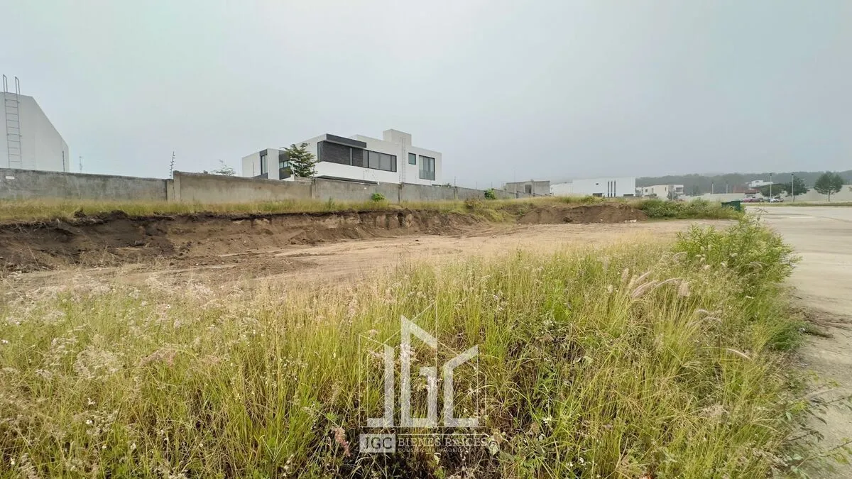 Foto 3 de TERRENO COMERCIAL EN VENTA EN LOS ROBLES