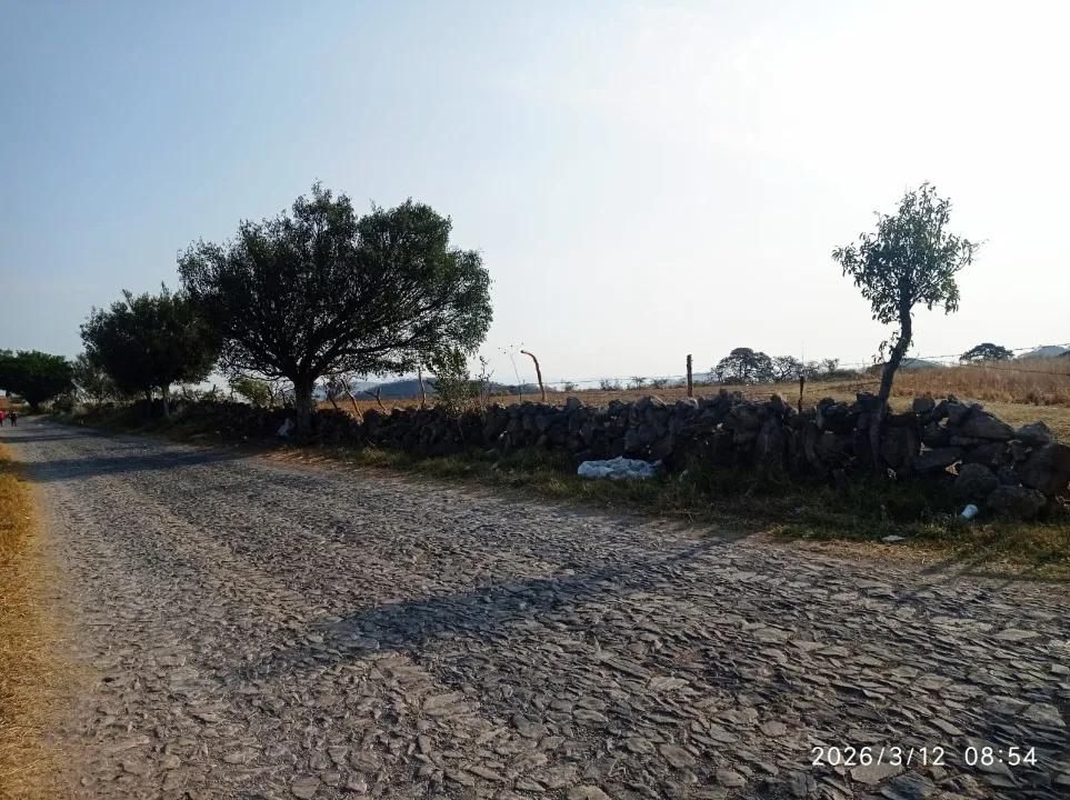 Foto 4 de Terreno en venta en Camino A Copala, El Quemado, Zapopan