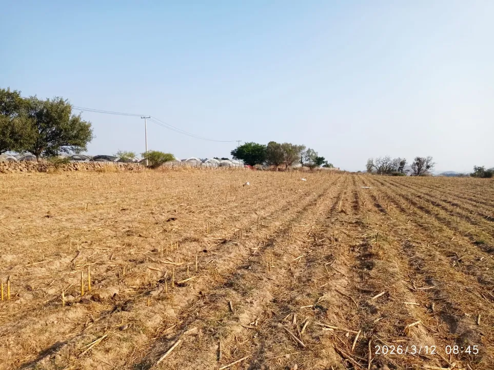 Foto 5 de Terreno en venta en Camino A Copala, El Quemado, Zapopan