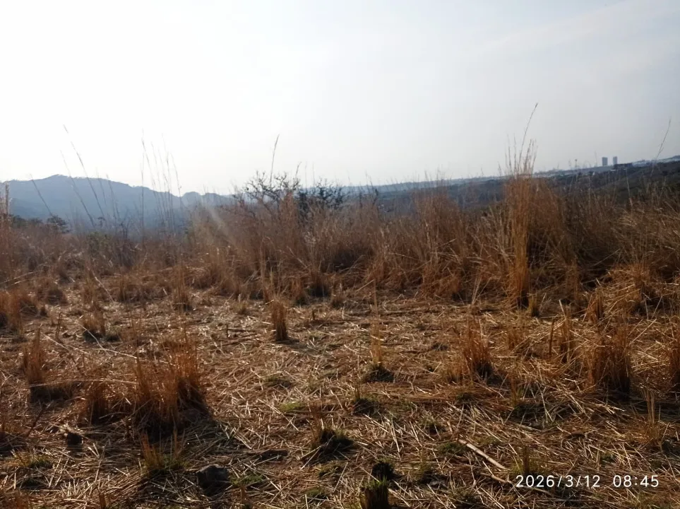 Foto 6 de Terreno en venta en Camino A Copala, El Quemado, Zapopan