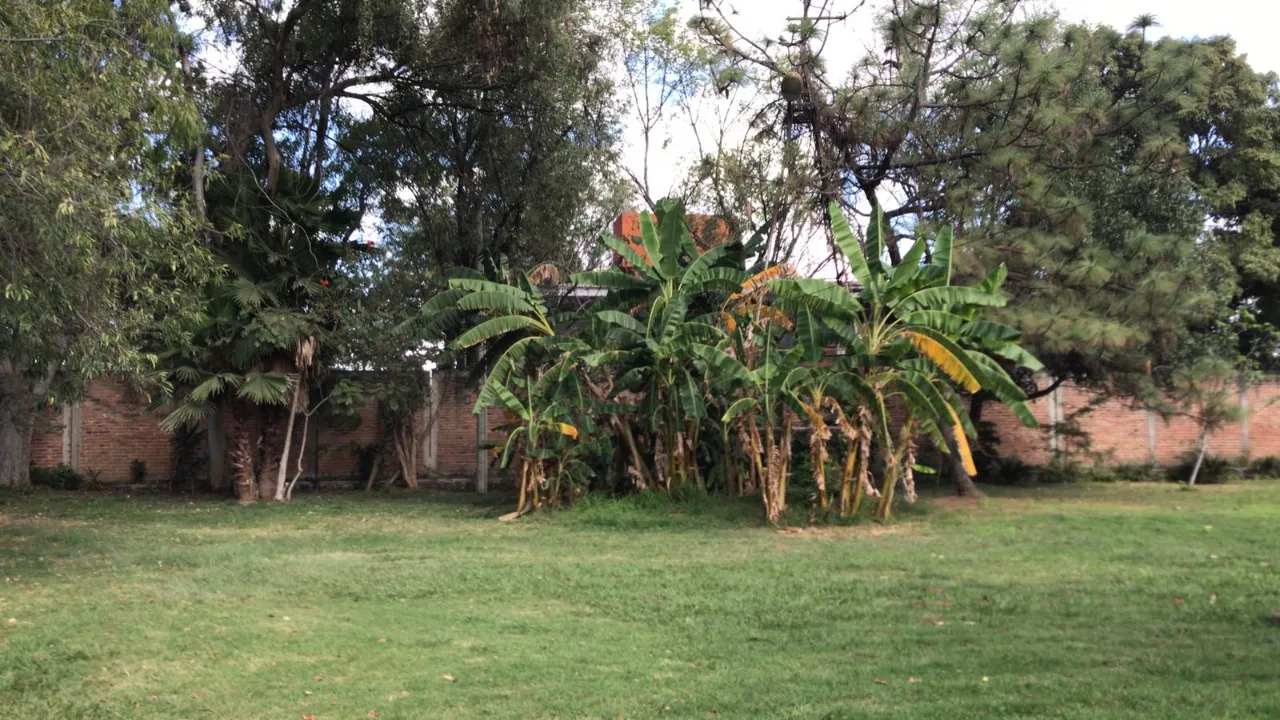 Foto 5 de Terreno en venta en Pueblo De Toluquilla, San Sebastianito, San Pedro Tlaquepaque