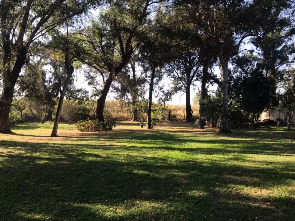 Foto 7 de Terreno en venta en Pueblo De Toluquilla, San Sebastianito, San Pedro Tlaquepaque