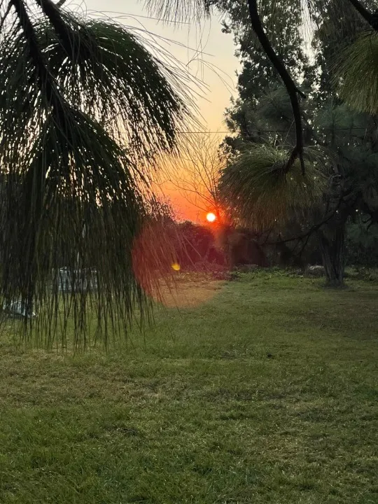 Foto 8 de Terreno en venta en Pueblo De Toluquilla, San Sebastianito, San Pedro Tlaquepaque