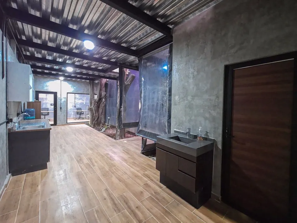 Departamento NUEVO en renta en la colonia San Andrés