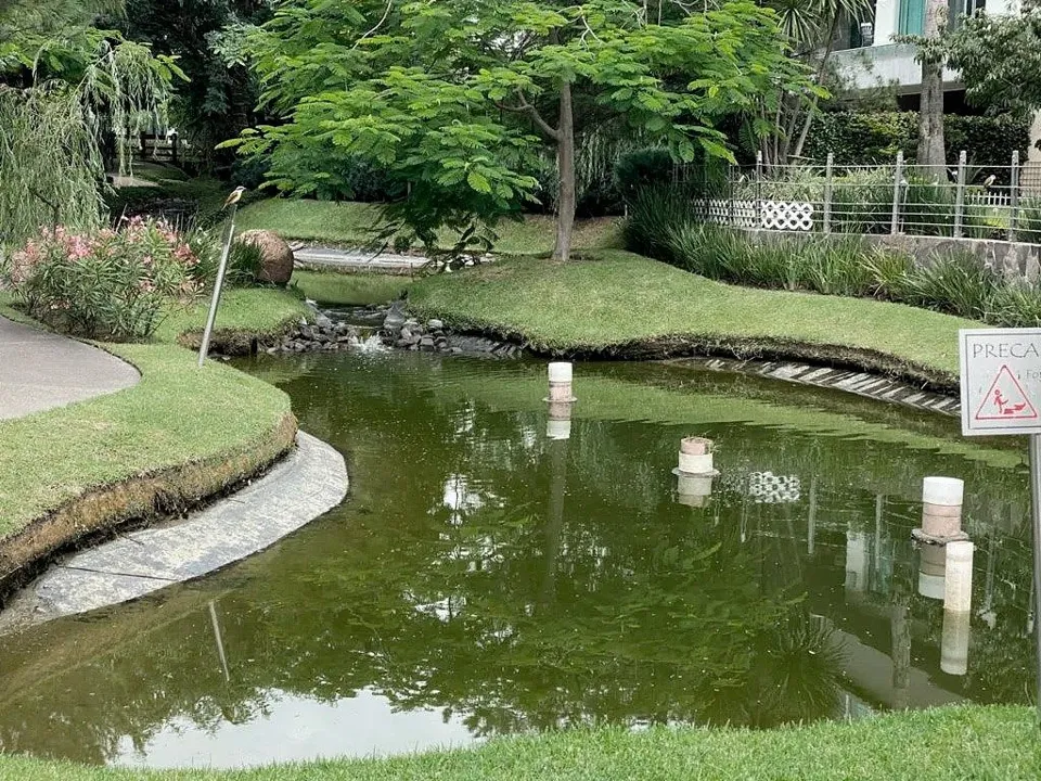 Foto 4 de TERRENO EN VENTA EN BOSQUES DE LOS LAGOS