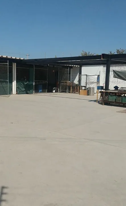 Foto 5 de Terreno en venta en Colonia San José del Quince, El Salto
