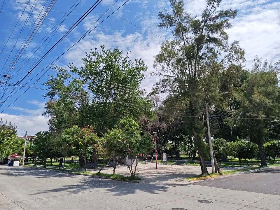 Foto 5 de TERRENO COMERCIAL EN RENTA EN COLONIA SANTA ISABEL