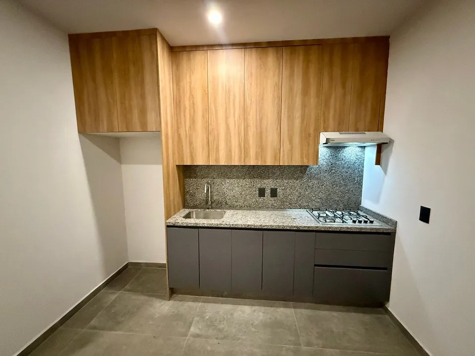Foto 5 de Departamento en Renta para Profesionistas  en Providencia - Av Providencia